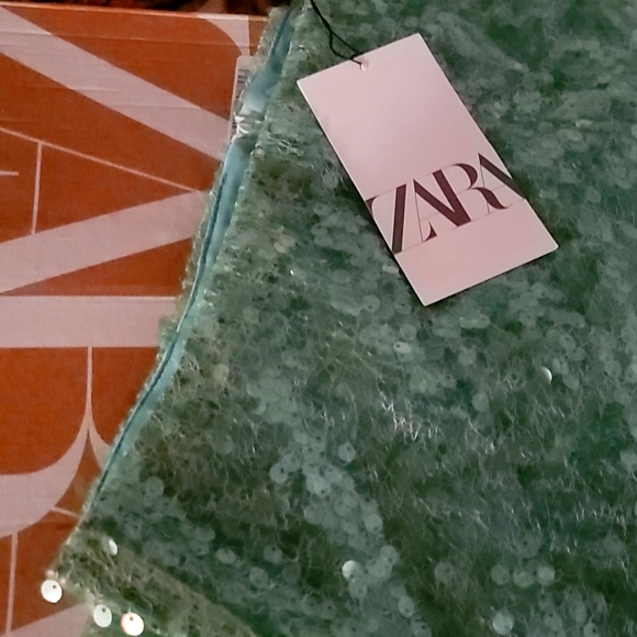 Zara Skirt - Picture 10 of 10